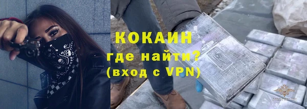 прущие грибы Красноперекопск