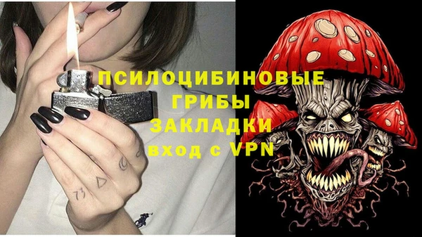 хмурый Кулебаки