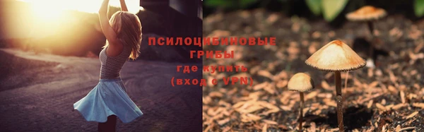 PSILOCYBIN Краснотурьинск
