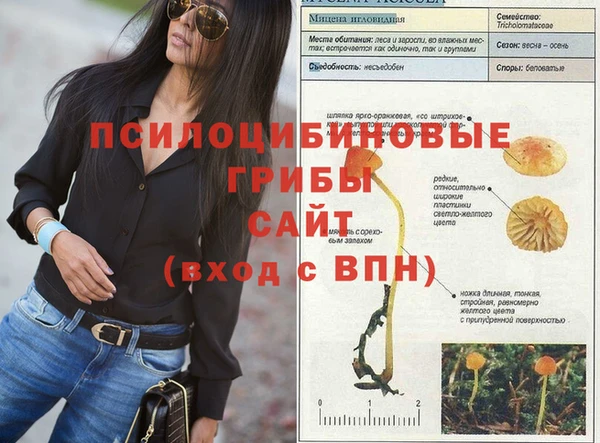 хмурый Кулебаки