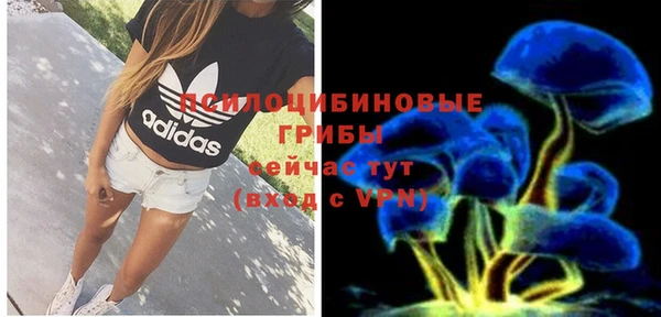 хмурый Кулебаки