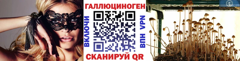 Купить  Южно-Сахалинск  Псилоцибиновые грибы Psilocybe